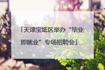 天津宝坻区举办“毕业即就业”专场招聘会