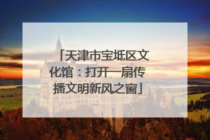 天津市宝坻区文化馆：打开一扇传播文明新风之窗