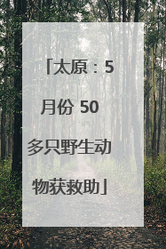 太原：5月份 50多只野生动物获救助