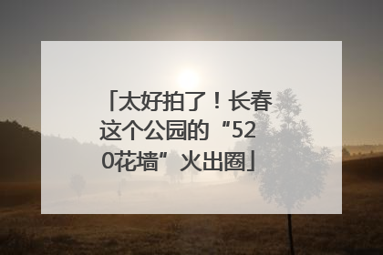 太好拍了！长春这个公园的“520花墙”火出圈