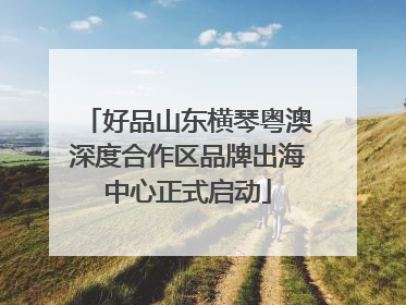 好品山东横琴粤澳深度合作区品牌出海中心正式启动