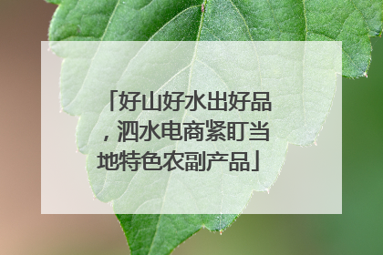 好山好水出好品，泗水电商紧盯当地特色农副产品
