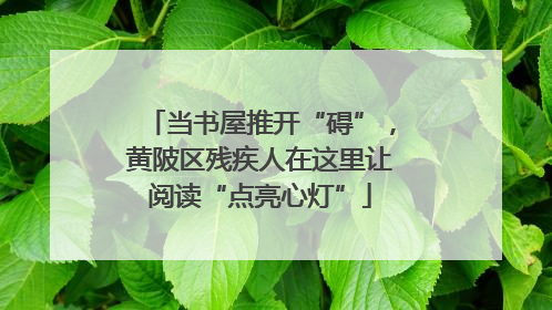 当书屋推开“碍”，黄陂区残疾人在这里让阅读“点亮心灯”