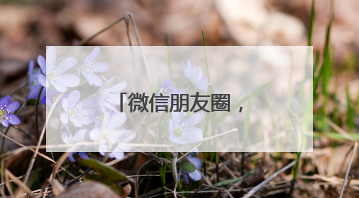 微信朋友圈，能折叠了！
