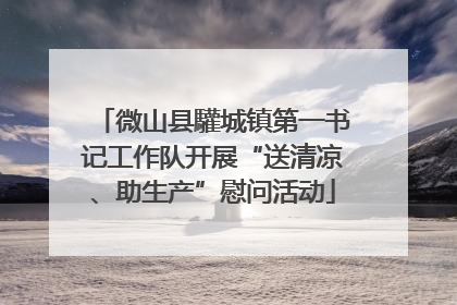 微山县驩城镇第一书记工作队开展“送清凉、助生产”慰问活动