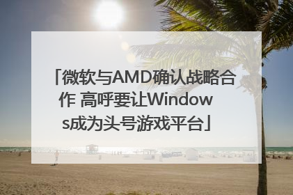微软与AMD确认战略合作 高呼要让Windows成为头号游戏平台