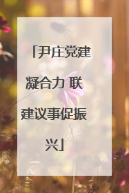 尹庄党建凝合力 联建议事促振兴