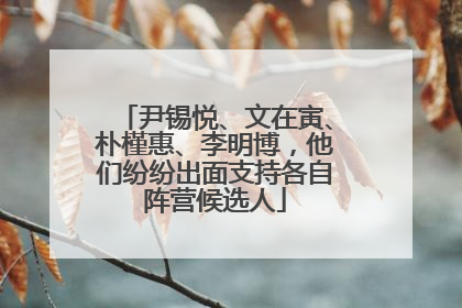 尹锡悦、文在寅、朴槿惠、李明博，他们纷纷出面支持各自阵营候选人