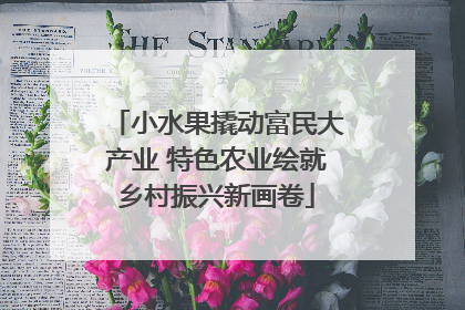 小水果撬动富民大产业 特色农业绘就乡村振兴新画卷