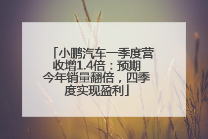 小鹏汽车一季度营收增1.4倍：预期今年销量翻倍，四季度实现盈利