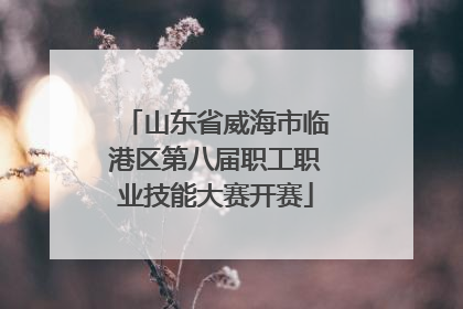 山东省威海市临港区第八届职工职业技能大赛开赛
