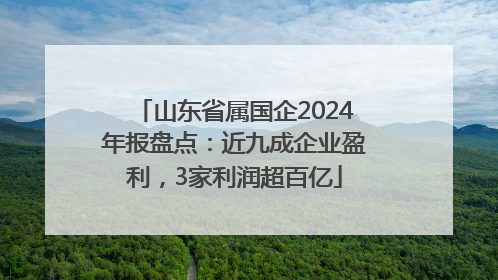 山东省属国企2024年报盘点：近九成企业盈利，3家利润超百亿