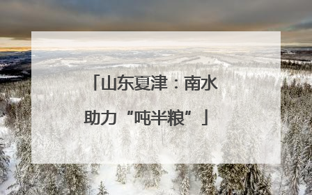 山东夏津：南水助力“吨半粮”