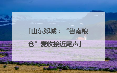 山东郯城：“鲁南粮仓”麦收接近尾声