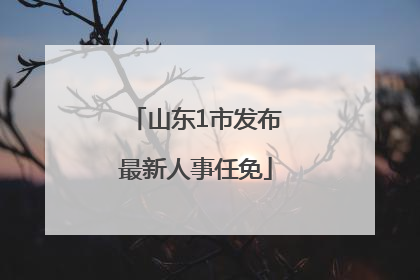 山东1市发布最新人事任免