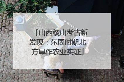山西稷山考古新发现：东周时期北方旱作农业实证