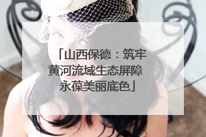山西保德：筑牢黄河流域生态屏障 永葆美丽底色