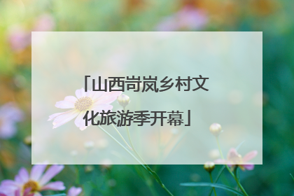 山西岢岚乡村文化旅游季开幕