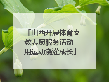 山西开展体育支教志愿服务活动 用运动浇灌成长