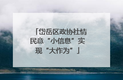 岱岳区政协社情民意“小信息”实现“大作为”