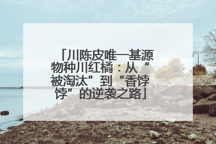 川陈皮唯一基源物种川红橘：从“被淘汰”到“香饽饽”的逆袭之路