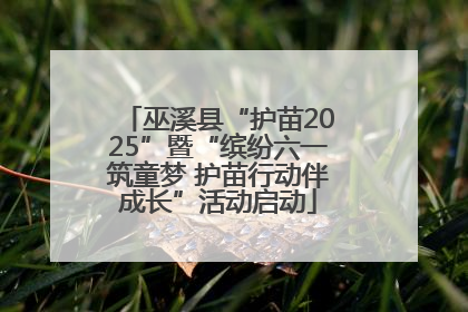 巫溪县“护苗2025”暨“缤纷六一筑童梦 护苗行动伴成长”活动启动