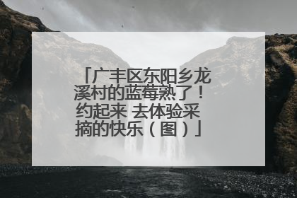 广丰区东阳乡龙溪村的蓝莓熟了！约起来 去体验采摘的快乐（图）