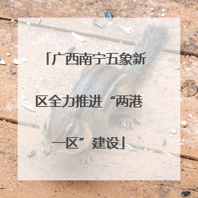 广西南宁五象新区全力推进“两港一区”建设
