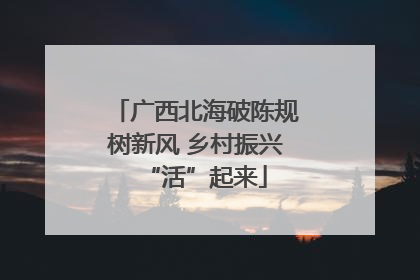 广西北海破陈规树新风 乡村振兴“活”起来