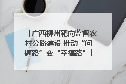 广西柳州靶向监督农村公路建设 推动“问题路”变“幸福路”