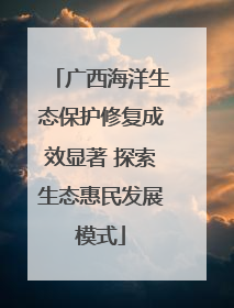 广西海洋生态保护修复成效显著 探索生态惠民发展模式