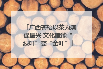 广西苍梧以茶为媒促振兴 文化赋能“绿叶”变“金叶”