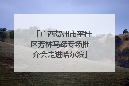 广西贺州市平桂区芳林马蹄专场推介会走进哈尔滨