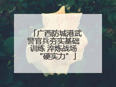 广西防城港武警官兵夯实基础训练 淬炼战场“硬实力”