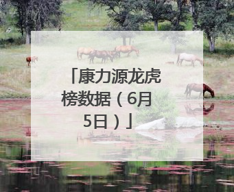 康力源龙虎榜数据（6月5日）
