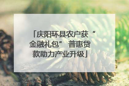 庆阳环县农户获“金融礼包” 普惠贷款助力产业升级