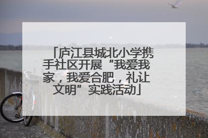 庐江县城北小学携手社区开展“我爱我家，我爱合肥，礼让文明”实践活动