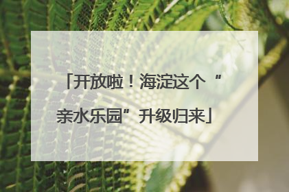 开放啦！海淀这个“亲水乐园”升级归来