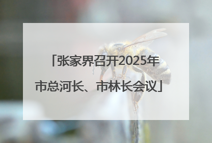 张家界召开2025年市总河长、市林长会议