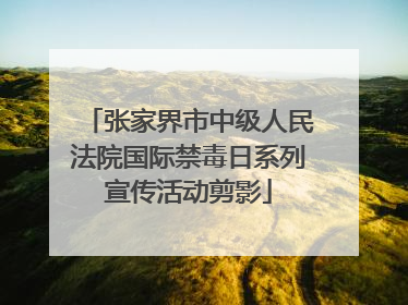 张家界市中级人民法院国际禁毒日系列宣传活动剪影