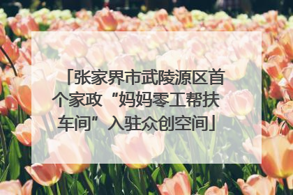 张家界市武陵源区首个家政“妈妈零工帮扶车间”入驻众创空间