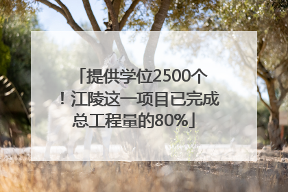 提供学位2500个！江陵这一项目已完成总工程量的80%