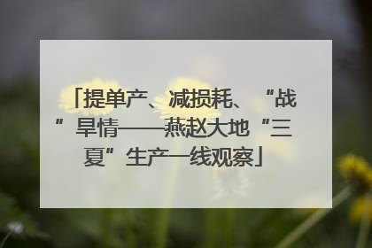 提单产、减损耗、“战”旱情——燕赵大地“三夏”生产一线观察