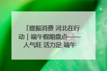 提振消费 河北在行动｜端午假期盘点——人气旺 活力足 端午经济“热浪”迭起