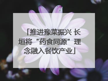 推进豫菜振兴 长垣将“药食同源”理念融入餐饮产业