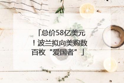 总价58亿美元！波兰拟向美购数百枚“爱国者”