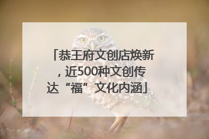 恭王府文创店焕新，近500种文创传达“福”文化内涵