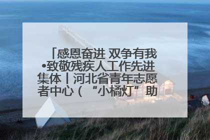 感恩奋进 双争有我•致敬残疾人工作先进集体丨河北省青年志愿者中心（“小橘灯”助残接力计划实施团队）：用温暖陪伴，守护特殊孩子成长