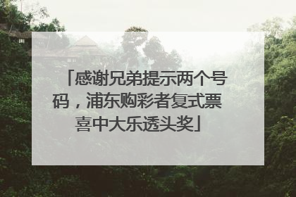 感谢兄弟提示两个号码，浦东购彩者复式票喜中大乐透头奖