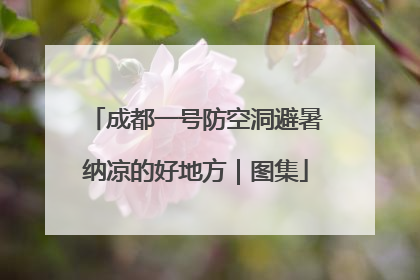 成都一号防空洞避暑纳凉的好地方｜图集